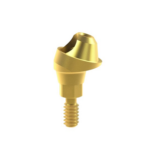 Multi-Unit Abutment  17 RP H 2.5