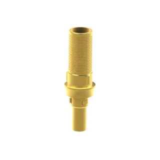 Titanbasis Camlog fr Camlog 3.8 Gingivahhe 1,5 mm