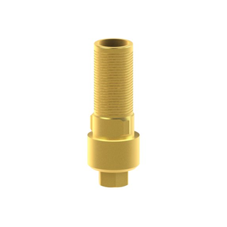 Titanbasis BioHorizons fr Tapered Internal 4.5...